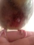 post-45949-1453125248_thumb.jpg