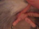 post-46318-1369507917_thumb.jpg