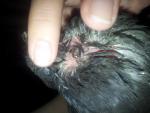 post-46318-1371832277_thumb.jpg