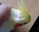 post-4650-1145093600_thumb.jpg
