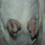 post-46572-1355740870_thumb.jpg