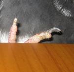 post-47303-1373298264_thumb.jpg