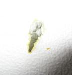 post-47303-1416649147_thumb.jpg