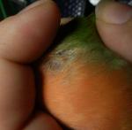 post-47382-1505624160_thumb.jpg