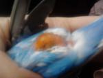 post-47457-1360051003_thumb.jpg