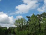 walk280506_52.jpg