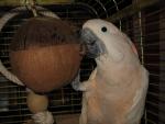 IMG_5512.JPG