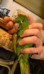 post-4758-1206902262_thumb.jpg