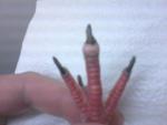 post-47693-1364587591_thumb.jpg