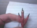 post-47693-1364587639_thumb.jpg