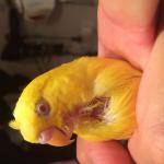 post-47695-1441267550_thumb.jpg