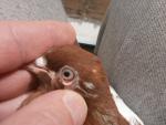 post-47706-1362243710_thumb.jpg