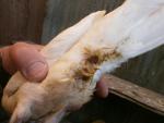 post-47706-1398454972_thumb.jpg
