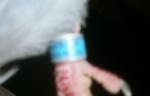 post-47706-1452080939_thumb.jpg