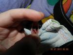 post-48165-1374823590_thumb.jpg