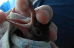 post-48165-1374823613_thumb.jpg