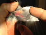 post-48195-1363626596_thumb.jpg