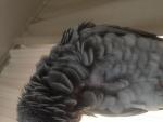 post-48197-1477146146_thumb.jpg