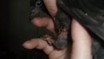 post-48307-1365677991_thumb.jpg
