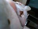 post-48504-1396971242_thumb.jpg