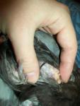 post-48570-1399367072_thumb.jpg