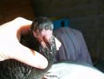 post-48570-1493721735_thumb.jpg