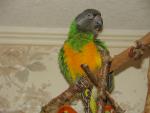 19.08.2011_079.jpg