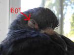 post-49015-1368085524_thumb.jpg