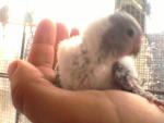 post-4915-1204101799_thumb.jpg