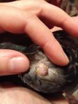 post-49179-1503084149_thumb.jpg