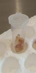 post-49179-1503260244_thumb.jpg
