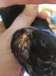 post-49179-1503323135_thumb.jpg