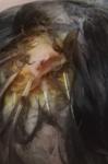 post-49179-1503323151_thumb.jpg