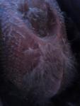 post-49513-1370081724_thumb.jpg
