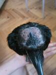 post-49513-1375265718_thumb.jpg