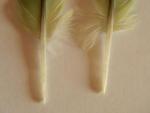 post-49558-1380267438_thumb.jpg