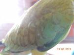 post-49642-1371190043_thumb.jpg