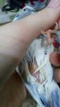 post-49644-1489579388_thumb.jpg
