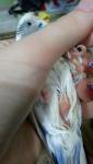 post-49644-1489579408_thumb.jpg