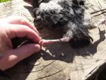 post-49690-1433538513_thumb.jpg