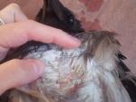post-49690-1462359477_thumb.jpg