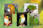 09_a5_parrots.jpg
