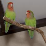 DSC040733.jpg