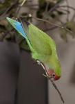 DSC040677.jpg