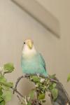 DSC01531.jpg