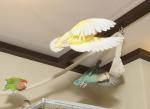 DSC02958_1.jpg