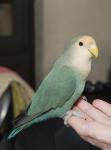 DSC03183.jpg