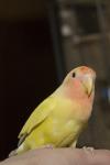 DSC03202.jpg
