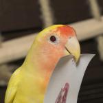 DSC03254.jpg