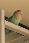 DSC06166.jpg
